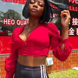Red Deep V  Crop Top
